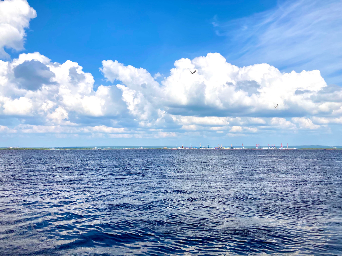 Обь. Фото автора.