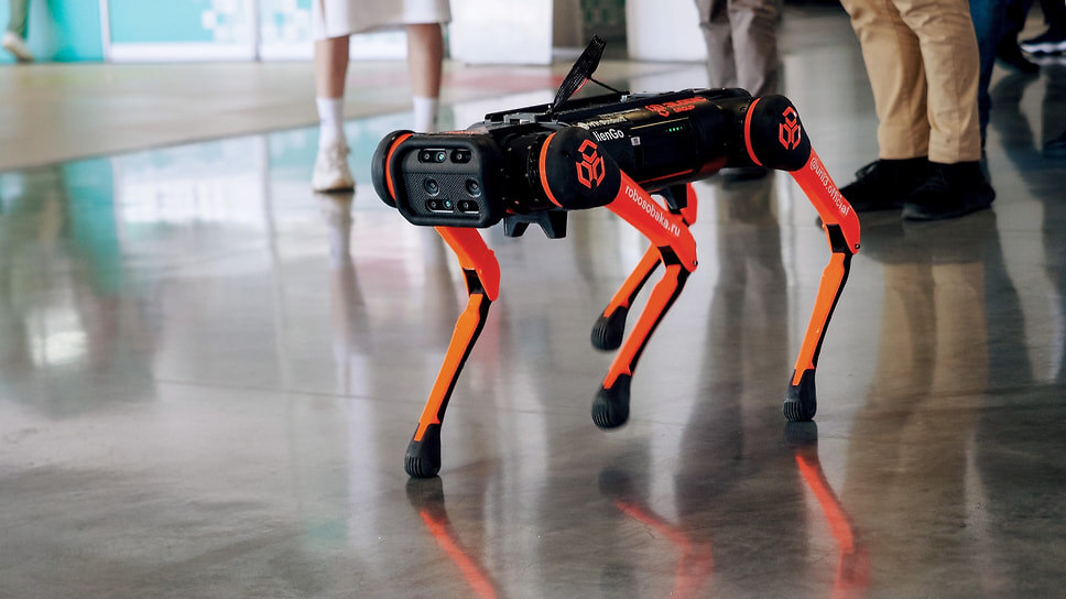 Фото: Евгения Яблонская / Коммерсантъ