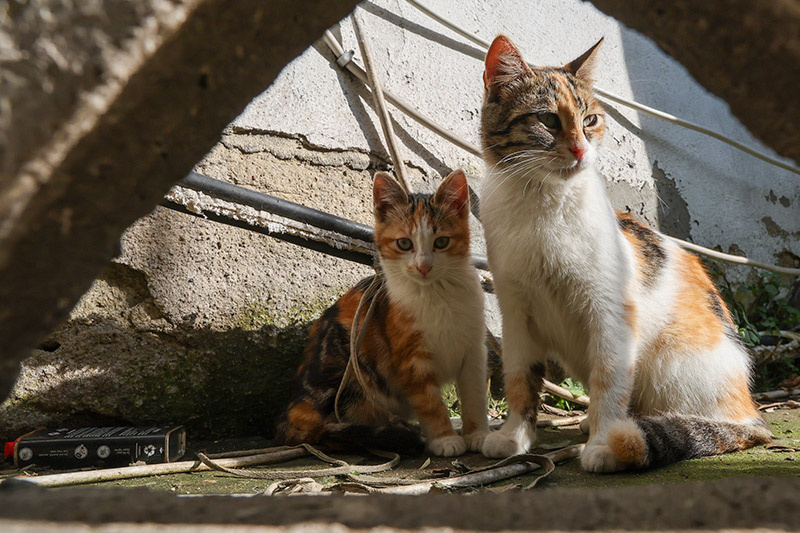    Алексей Белкин/NEWS.ru