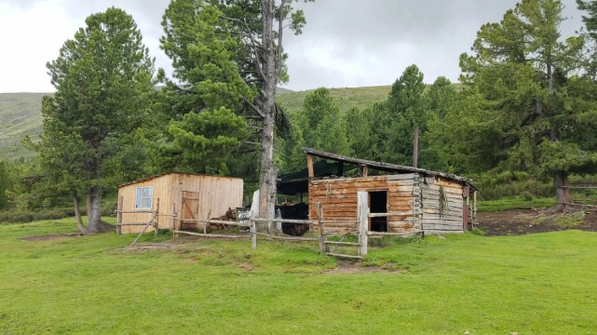    Фото: Яндекс.Карты