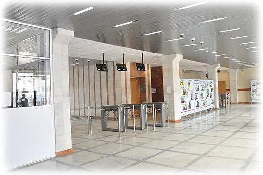 (фото: commons.wikimedia.org/ Segz)