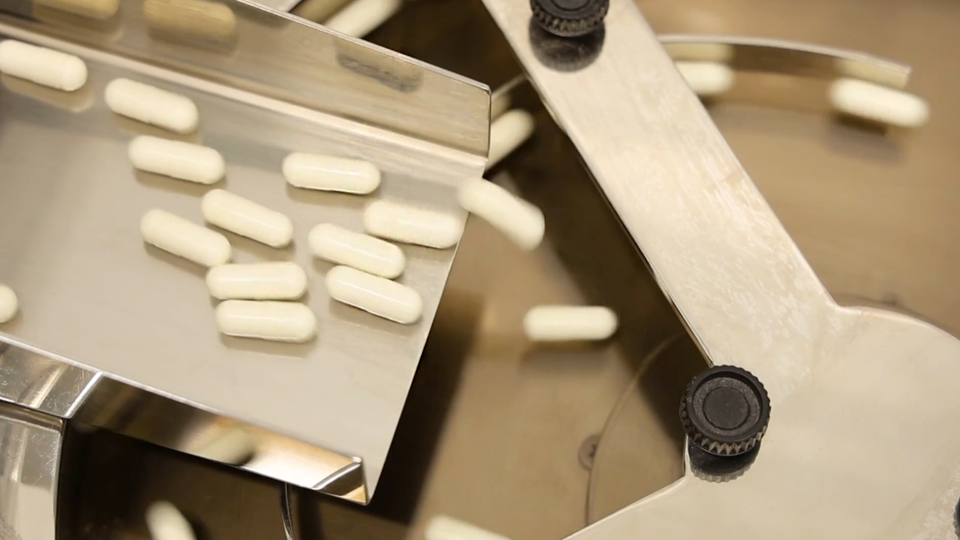 Фото: © Кадр из программы "Наука и техника", РЕН ТВ