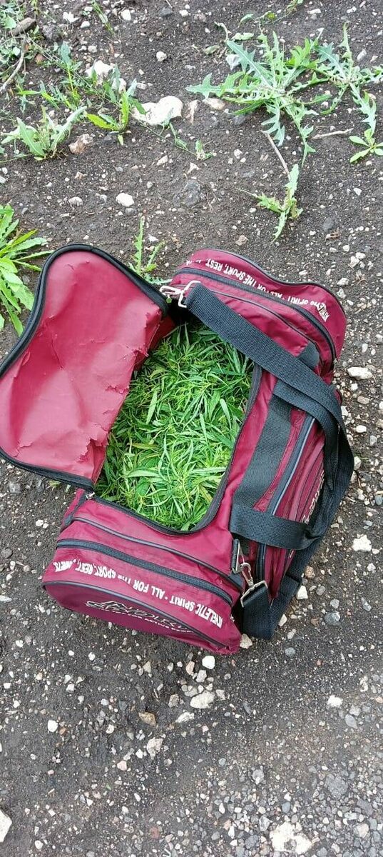 Фото: МВД по РТ