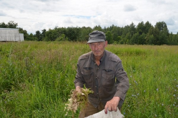 В Марий Эл пенсионер своими руками за 10 лет в одиночку построил дорогу до родной деревни
