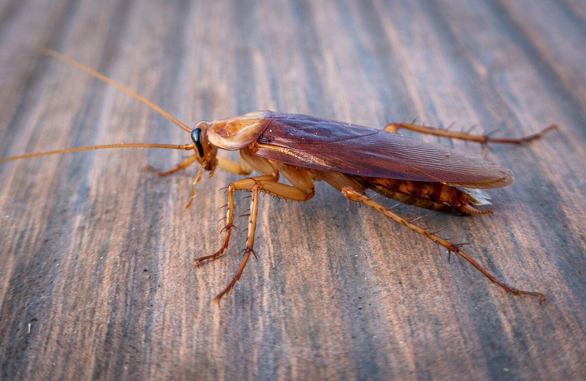     / Источник: © Soeren Stache/Global Look Press