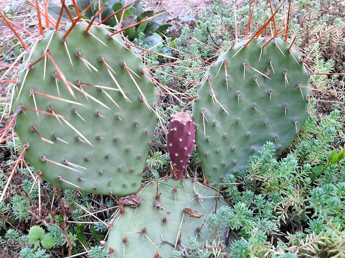 15 августа 2025