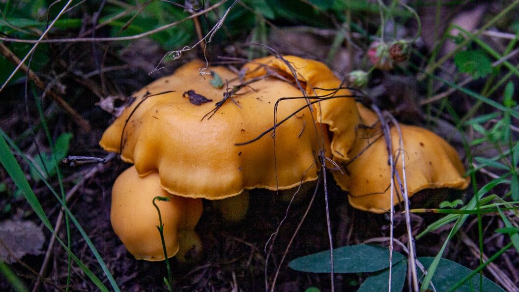    Oksana Korol/Business Online/Globallookpress