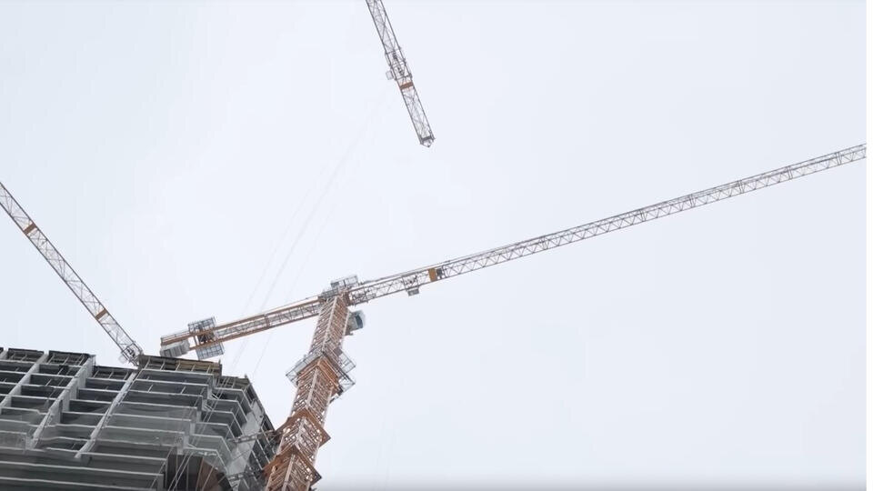 Фото: © Кадр из программы "Как устроен мир", РЕН ТВ