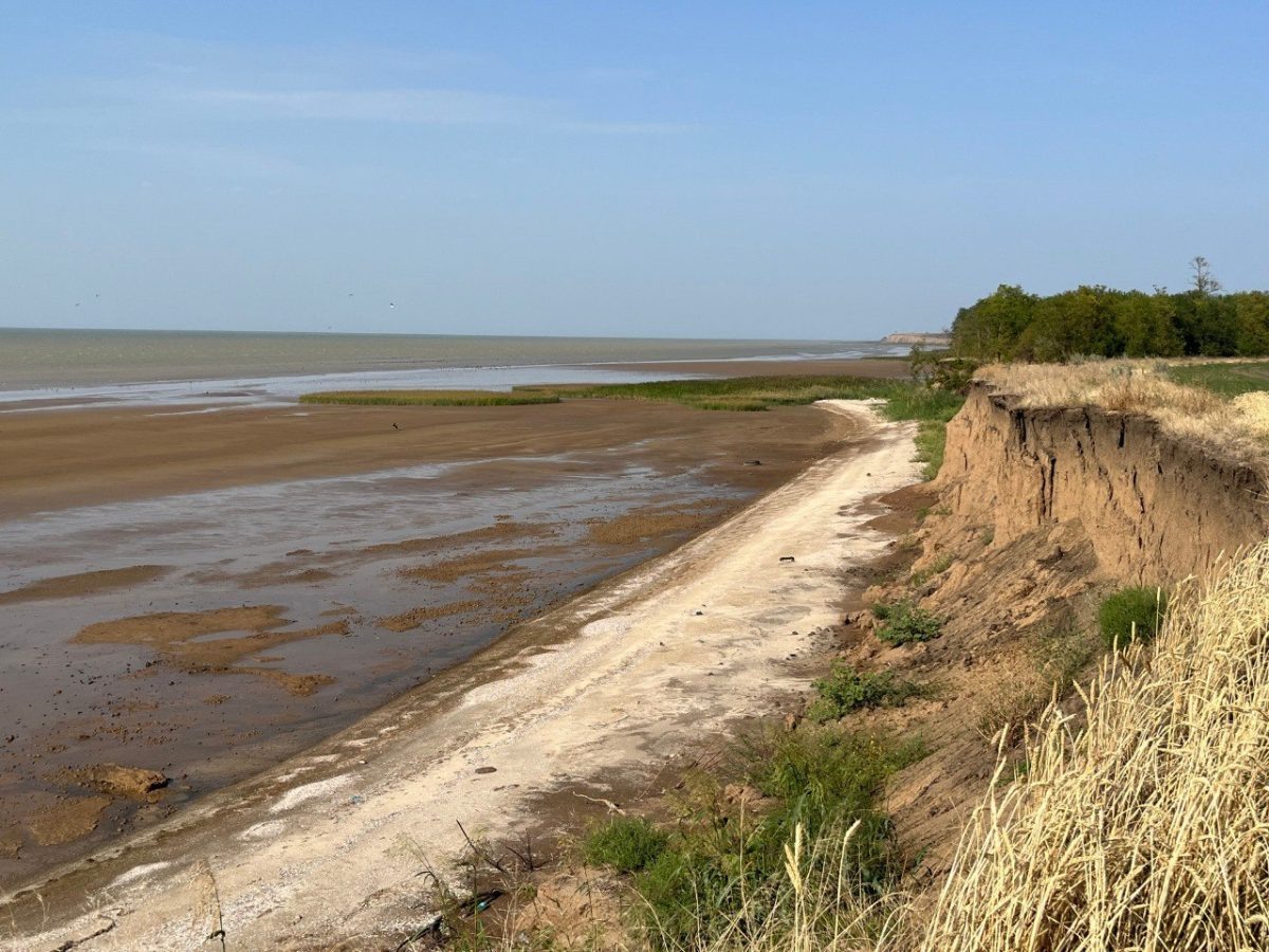    Место отбора проб / © Фото из архива Ивана Сазыкина