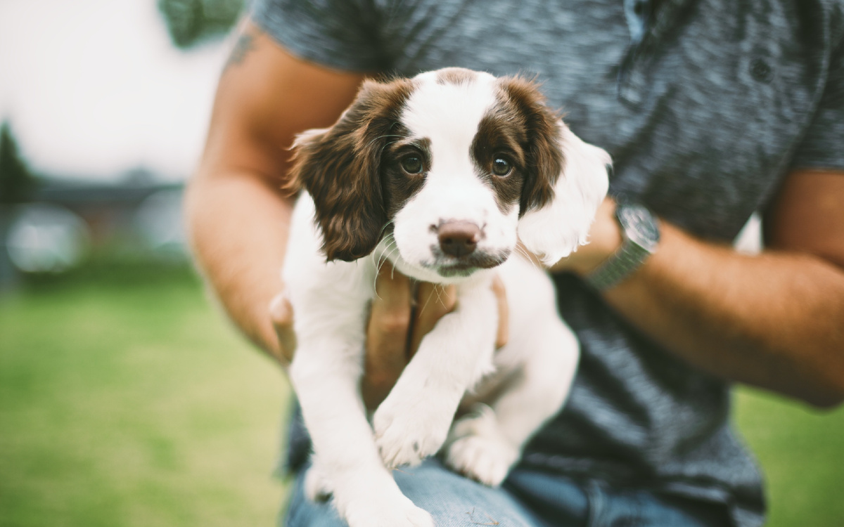 источник фото: https://santreyd.ru/upload/staff/upload/staff/vplate/all_photos/0e65e8383d60a7accd822e579c490d564dab7766.jpg