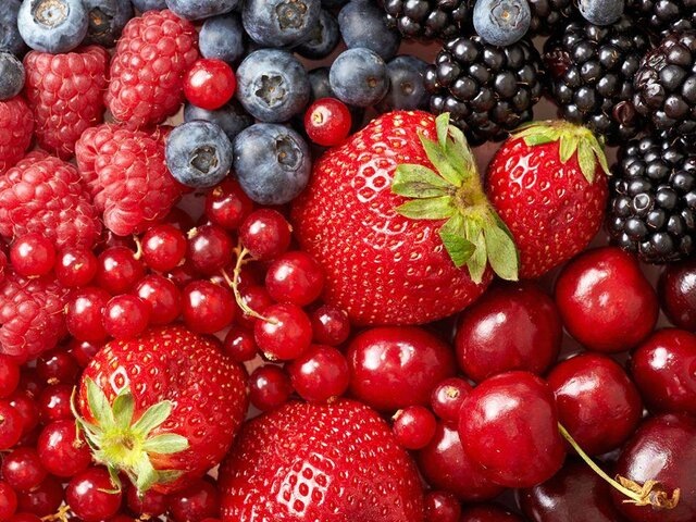    Фото: depositphotos/magone