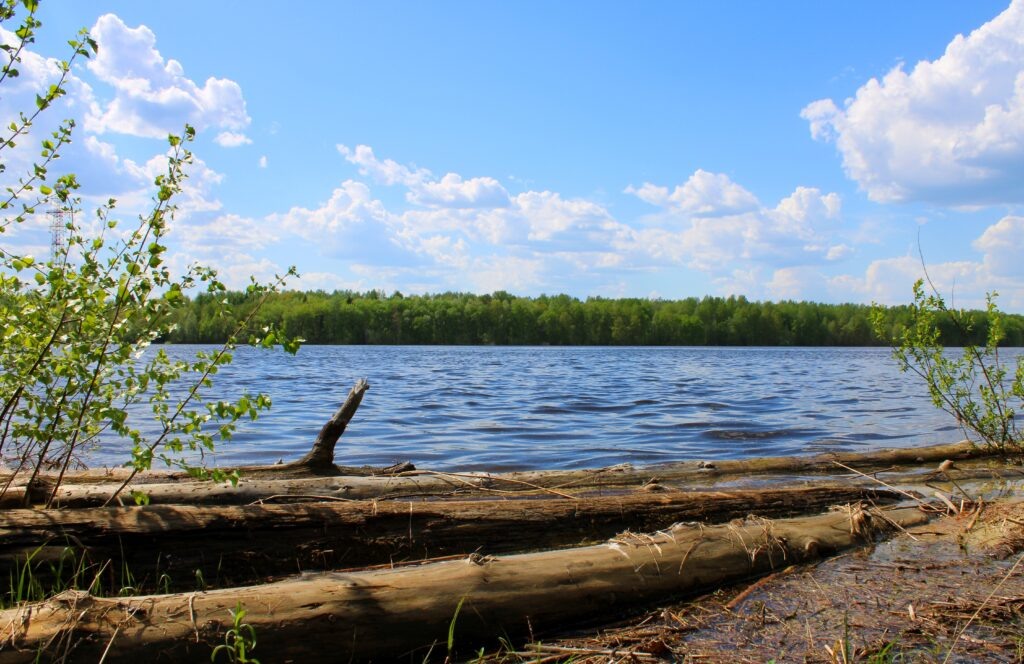    Фото: Ульяна Бажанова Ульяна Бажанова