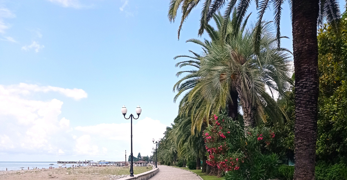 Приморский парк в Гаграх