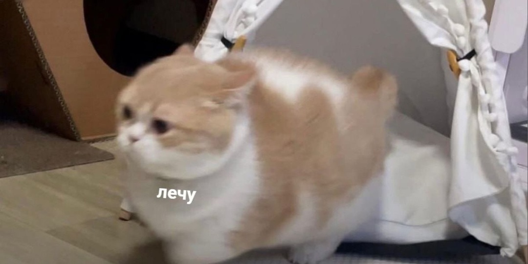 В понедельник нас волнуют только два вопроса: когда пятница и куда сходить, чтобы скрасить трудовые будни