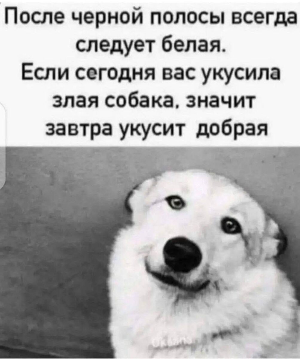 Тот самый мем