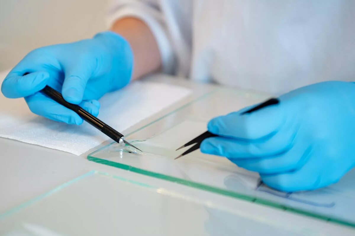 Фото: пресс-служба образовательного центра «Сириус»