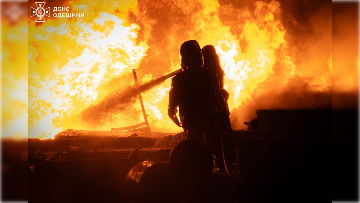 Фото: t.me/dsns_telegram