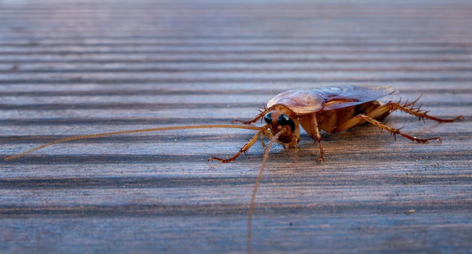    Soeren Stache/dpa / www.globallookpress.com