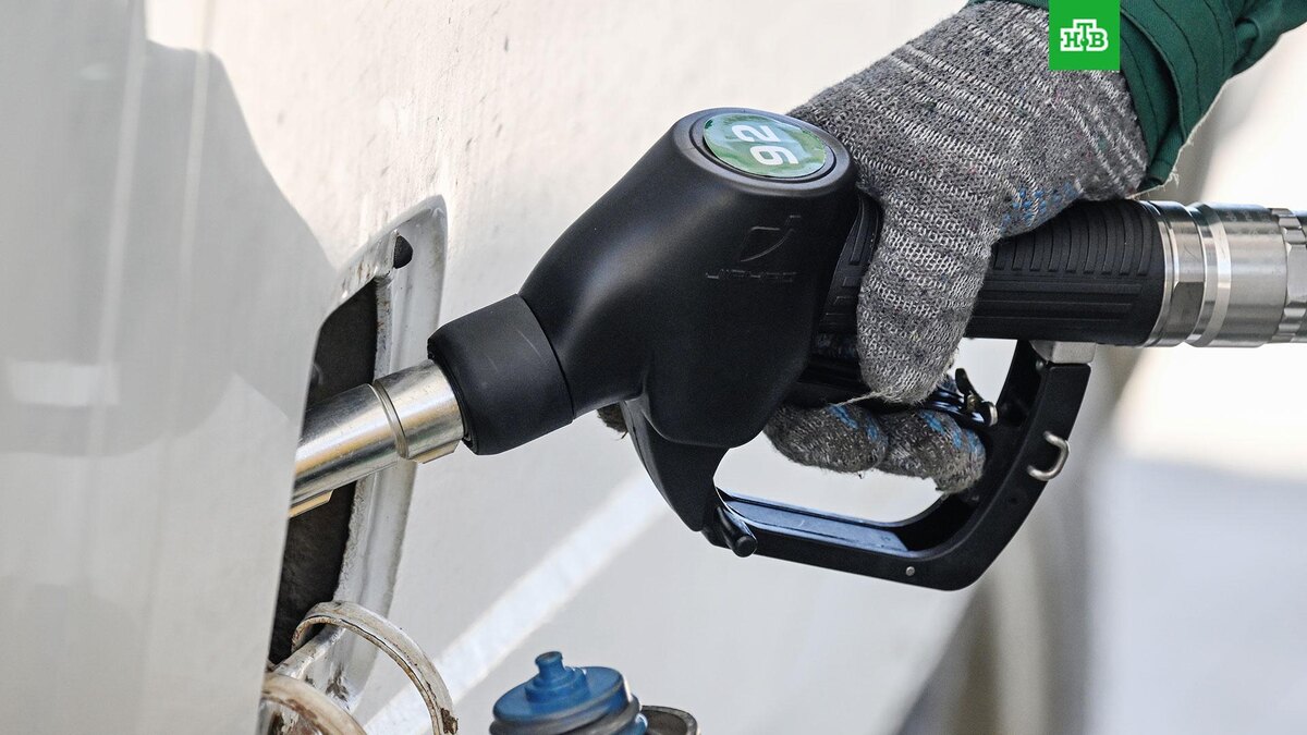    Фото: РИА Новости © 2025, Константин Михальчевский