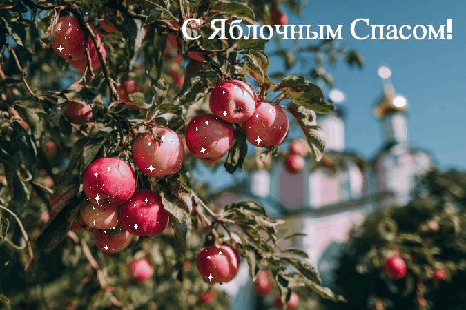 Сгенерировано «Известиями»
Анимированная открытка с яблоневыми плодами на Яблочный Спас