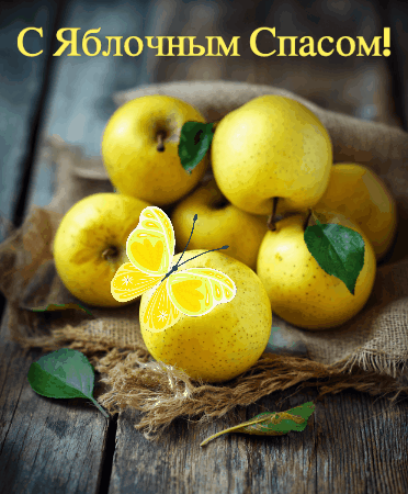 Сгенерировано «Известиями»
Анимация с яблоками в праздник 19 августа, на Яблочный Спас