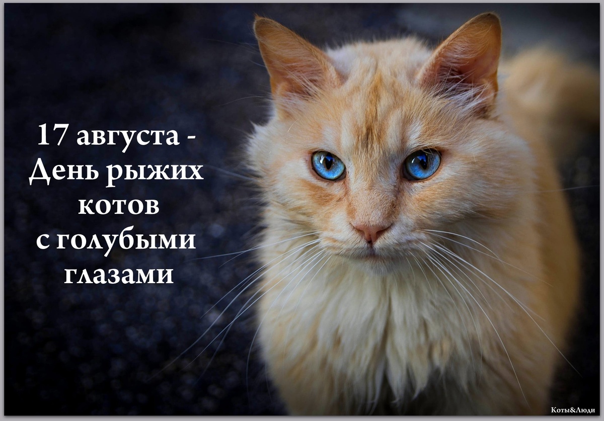 Коллаж автора. Использовано фото: fr.wallpaper.mob.org