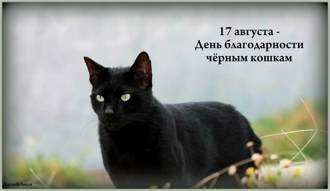 Коллаж автора