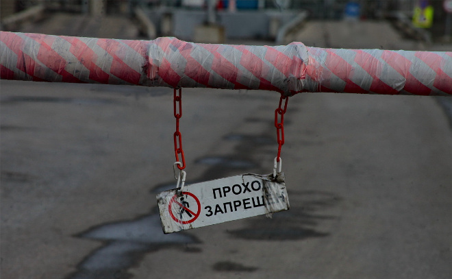    © Анастасия Илюшина / ЛенТВ24