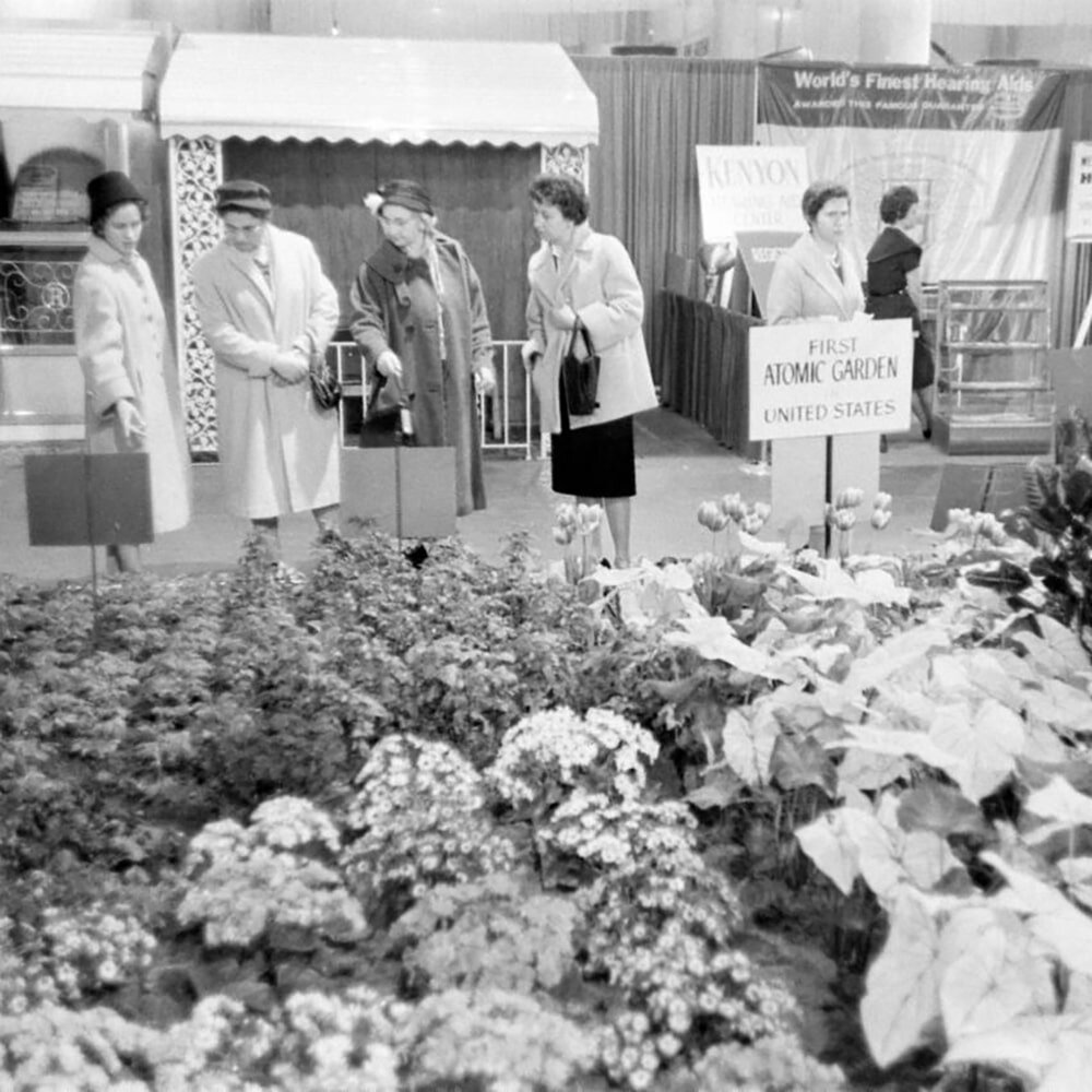 Источник: MessyNessy Chic. Выставка "Первый атомный сад", США, 1960-е годы. Посетители рассматривают растения, полученные после облучения семян.