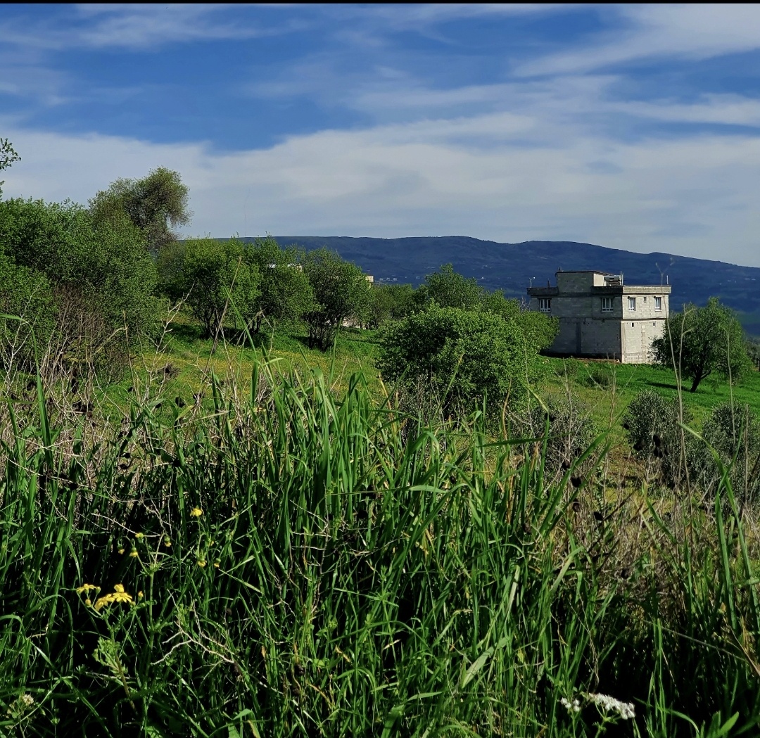 Деревня весной