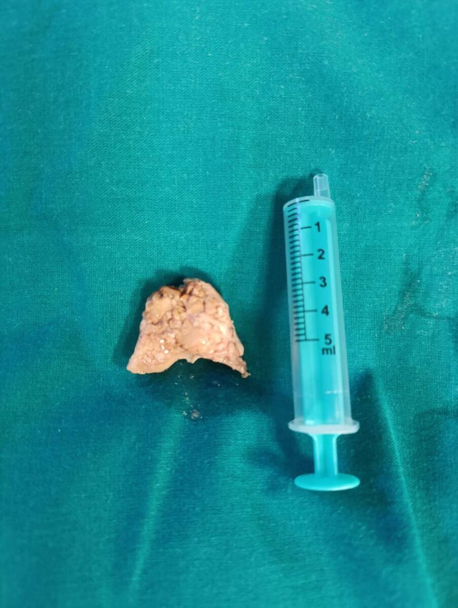 Фото: © Пресс-служба РКБ