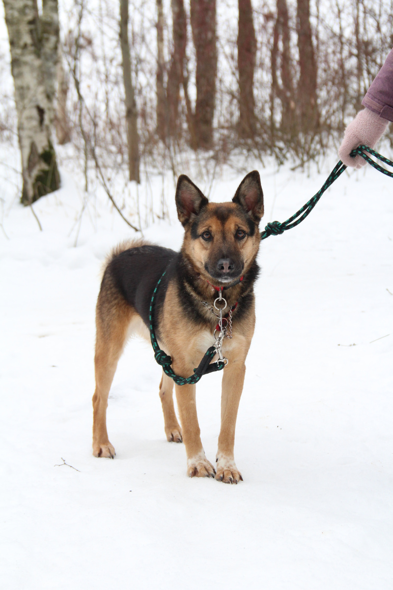 Не, ну яркая же!