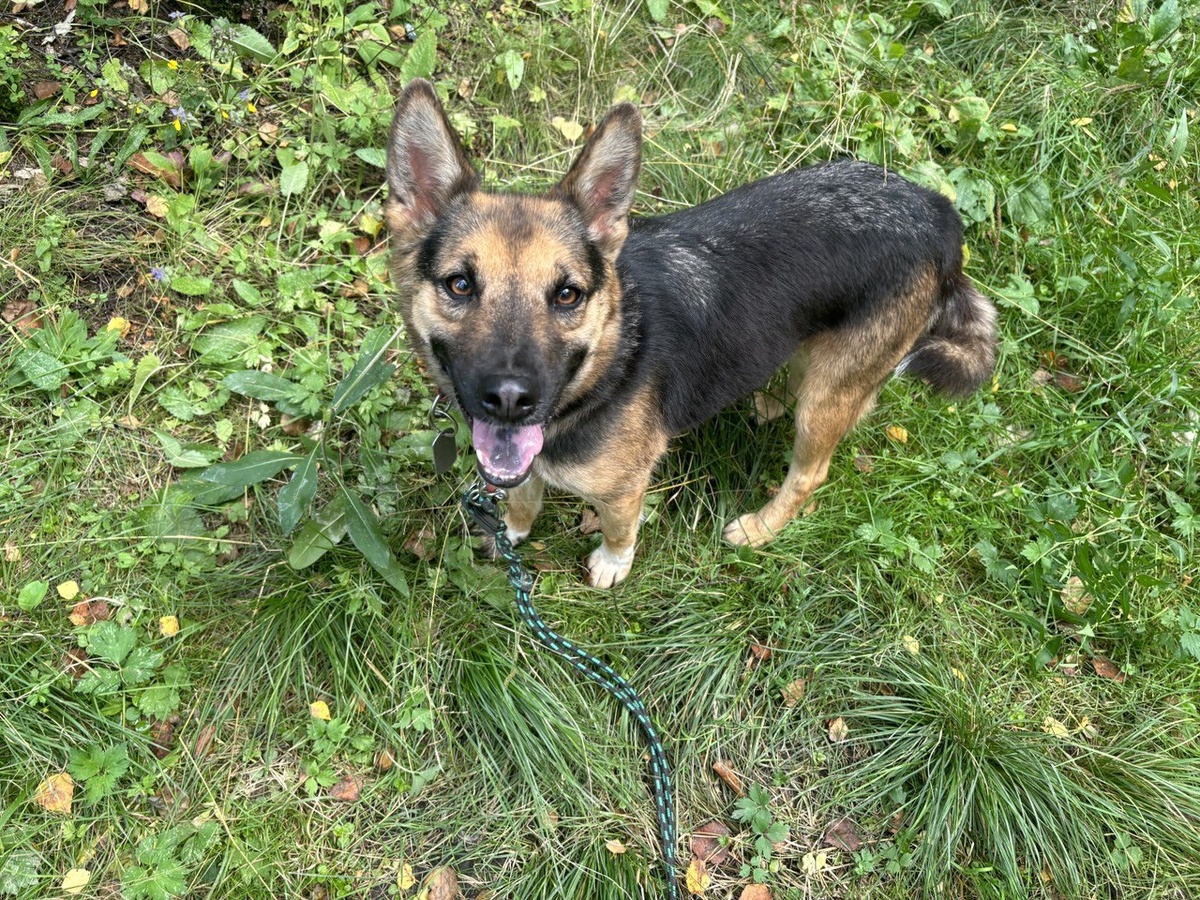 Моя изюминка не только в языке между прочим! Вы читайте-читайте дальше!