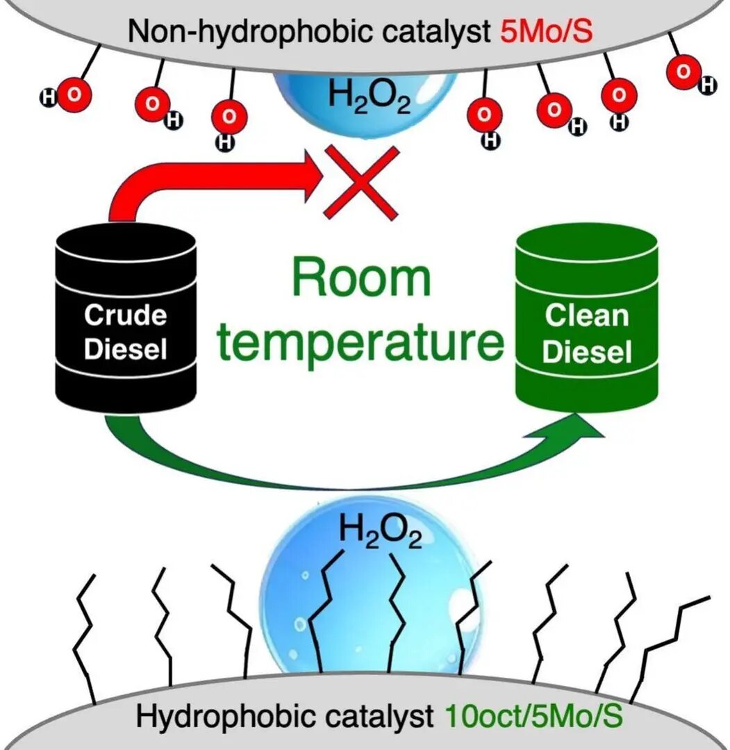    Фото: indicator.ru Павел Евсеев