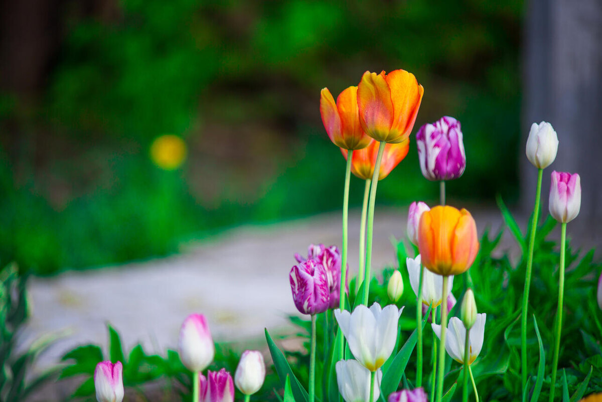     123RF/legion-media.ru