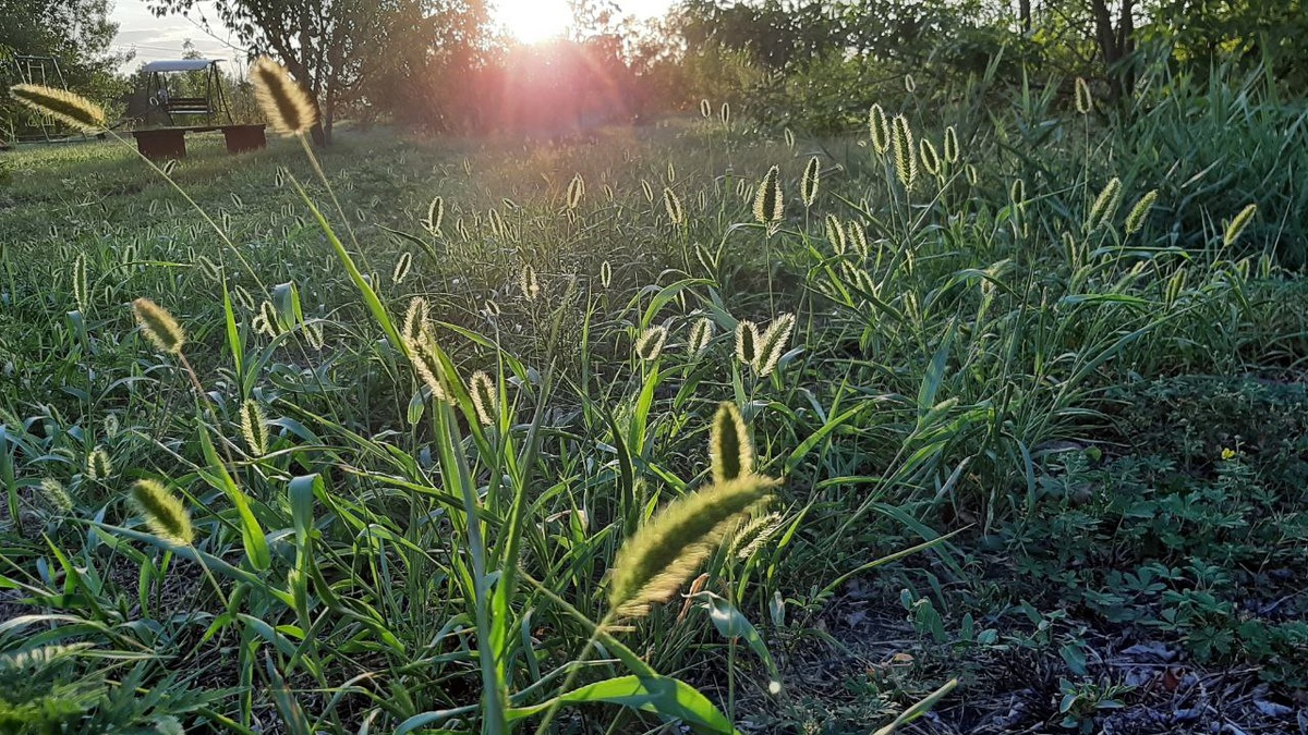 Истинное золото-это состояние Духа