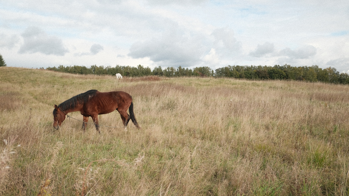 Фотография автора - estate.gorbunovb2b.ru