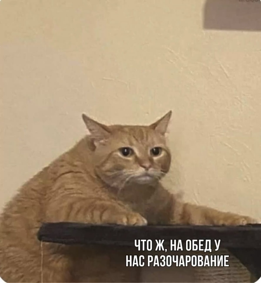 Владельцы кошек нередко замечают странное поведение: питомец начинает «копать» пол рядом с миской или скрести лапой поверхность, словно пытается закопать еду. На первый взгляд это кажется просто забавной привычкой, но на самом деле такое поведение имеет вполне понятное объяснение.