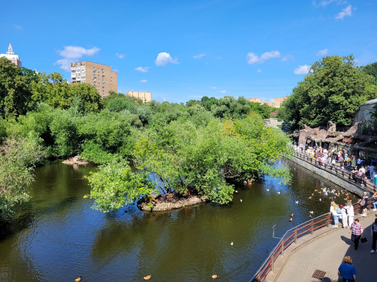    Фото автора Дзен-канала "Беречь речь"