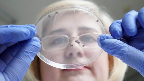    © РИА Новости . Игорь Зарембо