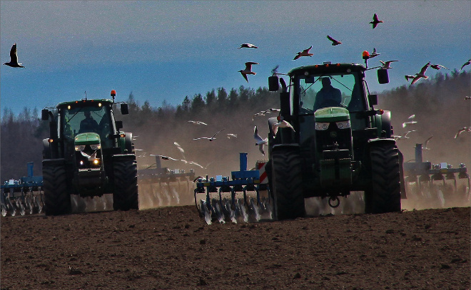    © Анастасия Илюшина / ЛенТВ24