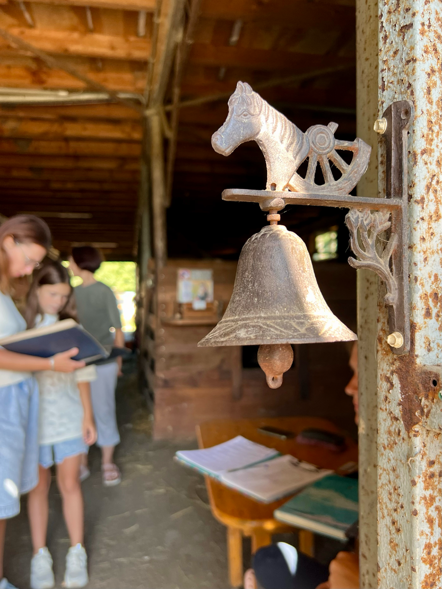 Лошадки повсюду