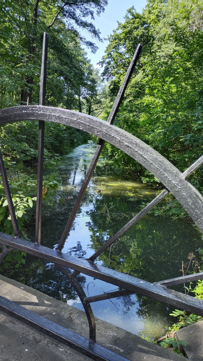 Река Липовка, старое русло в Нижнем парке