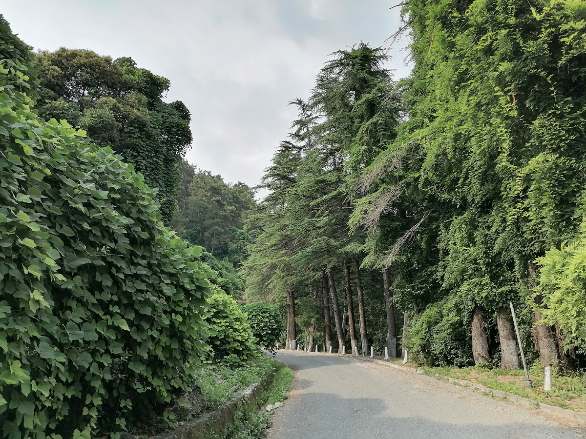 Дорога к отелю.