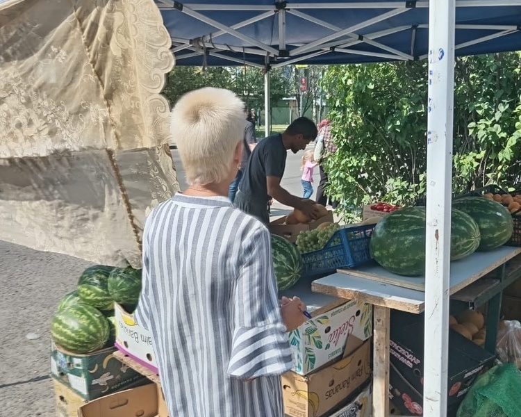     В Курске на нелегальных торговцев составили десять протоколов