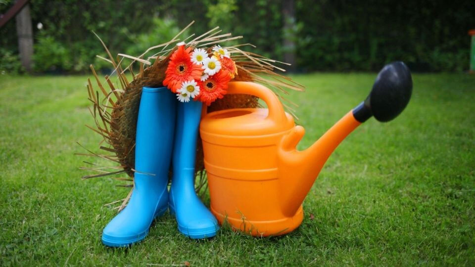    Дача. Лето. Источник: pixabay.com