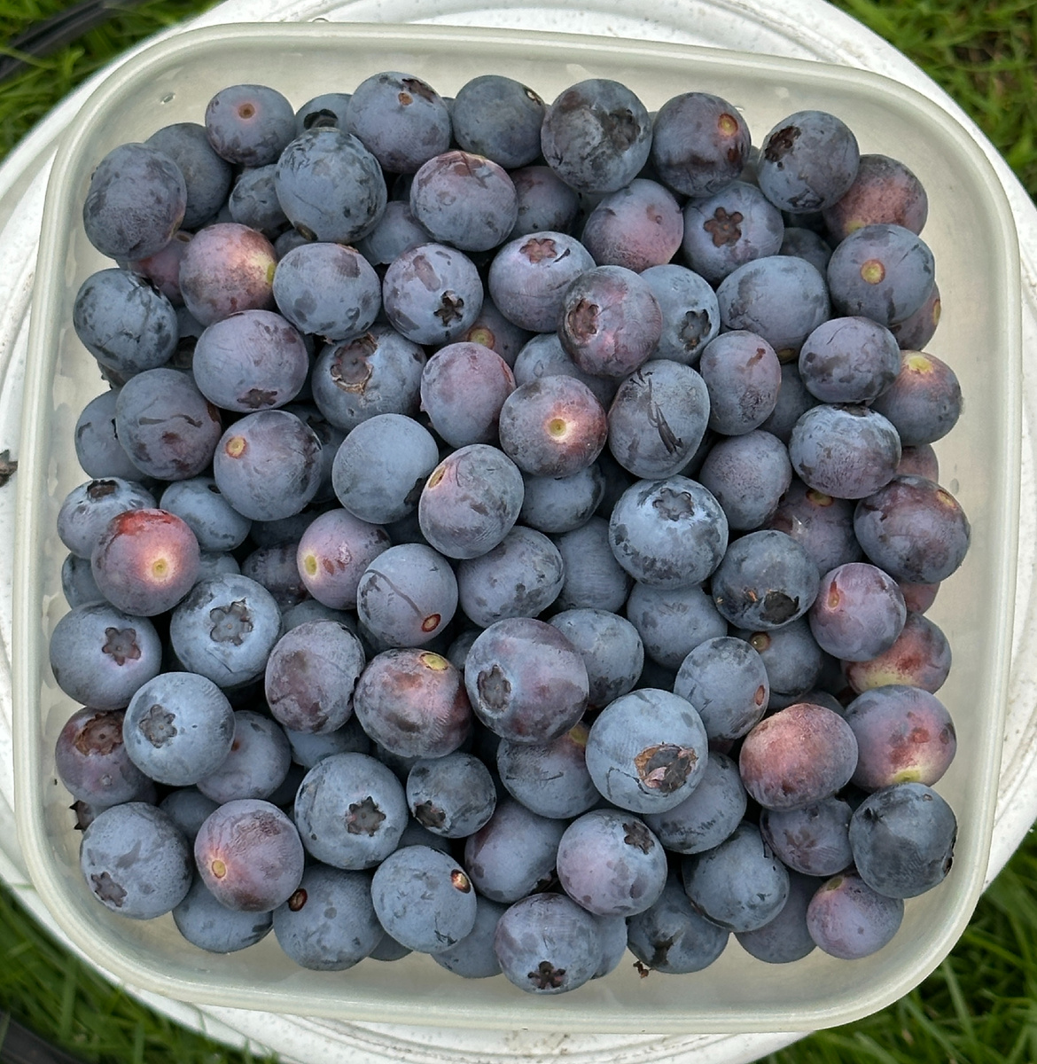 Фотографии в тексте - мои.