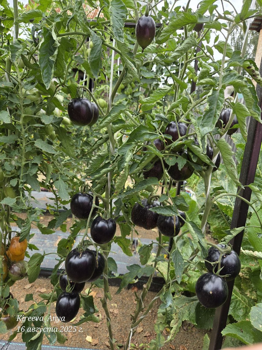 Не видно же ничего!