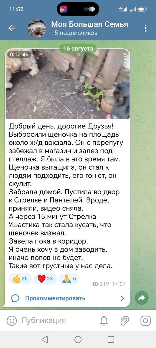 Видны и количество просмотров, лайки тоже есть. 