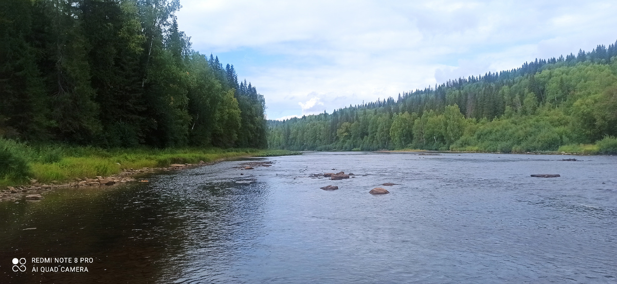 Красивая река. Спокойная. 
